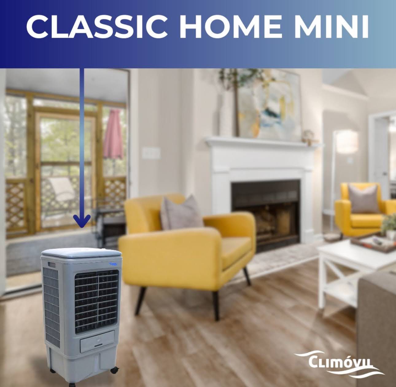 Home Mini