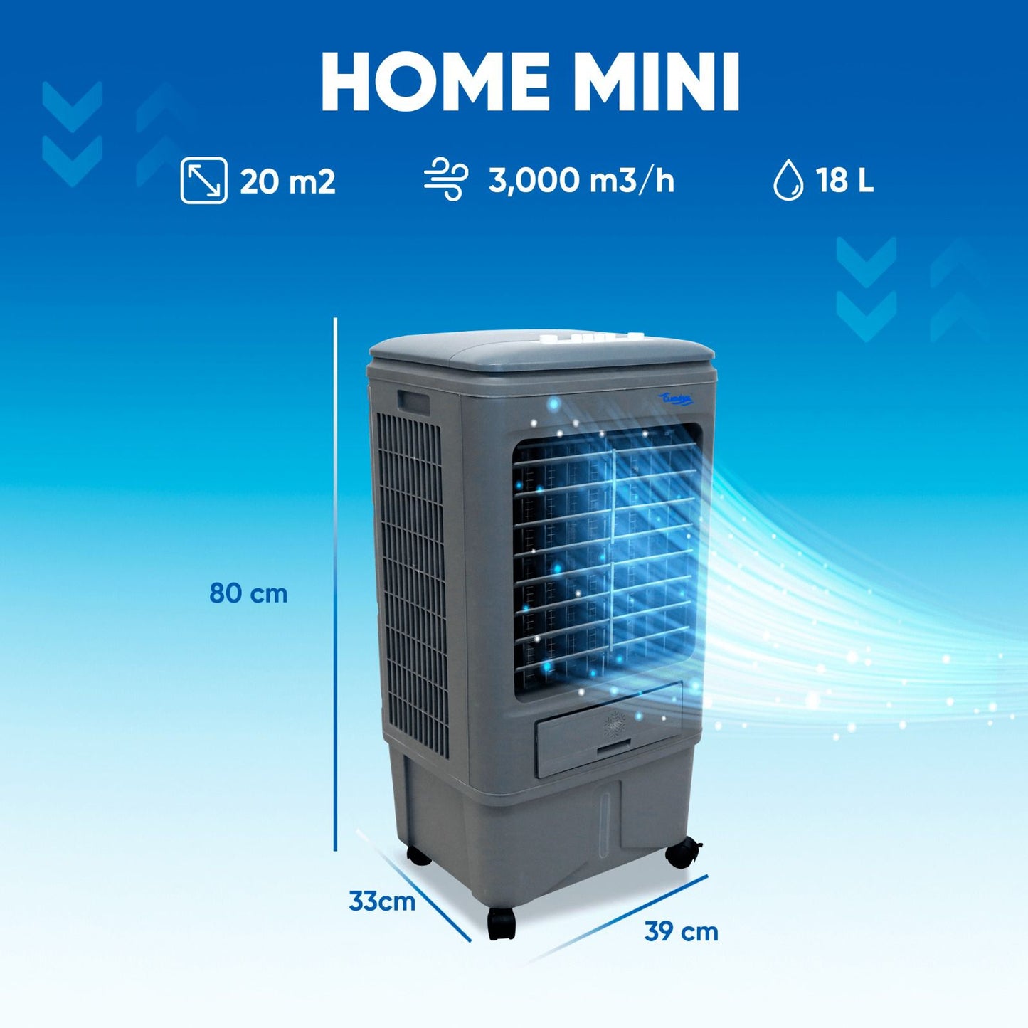 Home Mini
