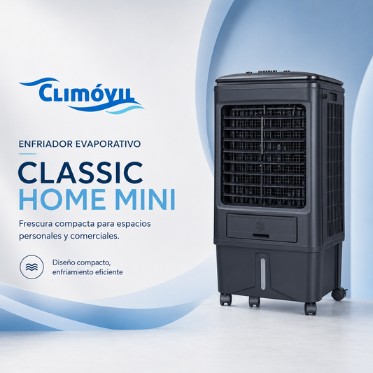 Home Mini